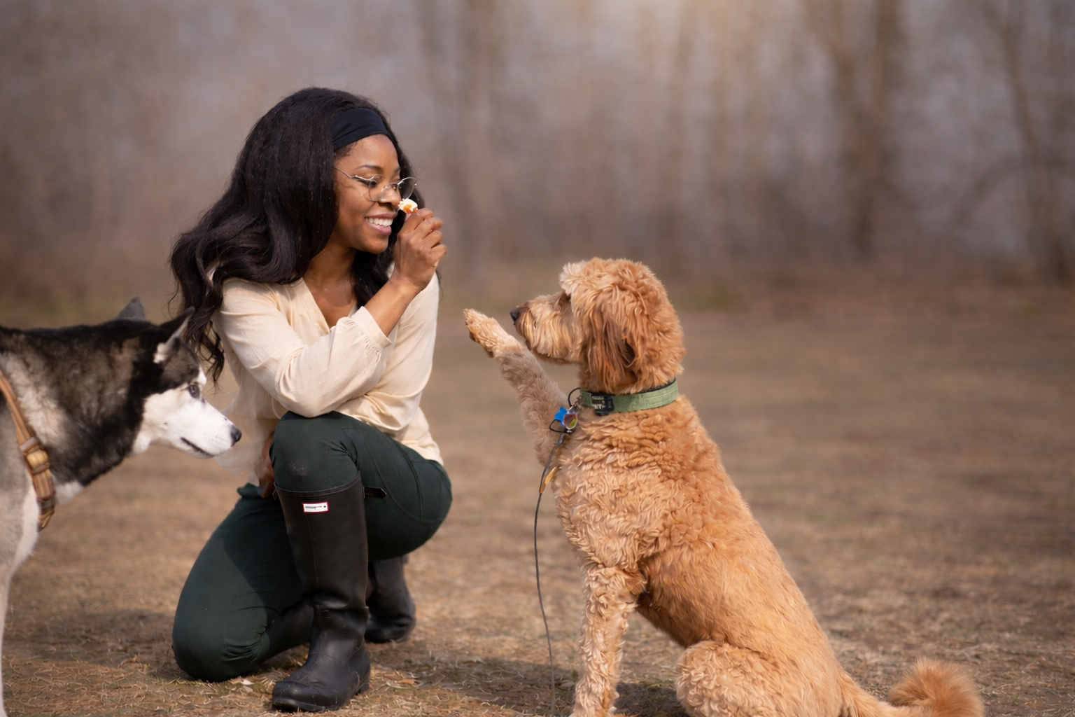Shekeyla and dogs  — IA Pets